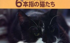 連載◆野間 勤「本のいもづる」第七回「ジェネレーション」